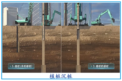 植桩沉桩.png
